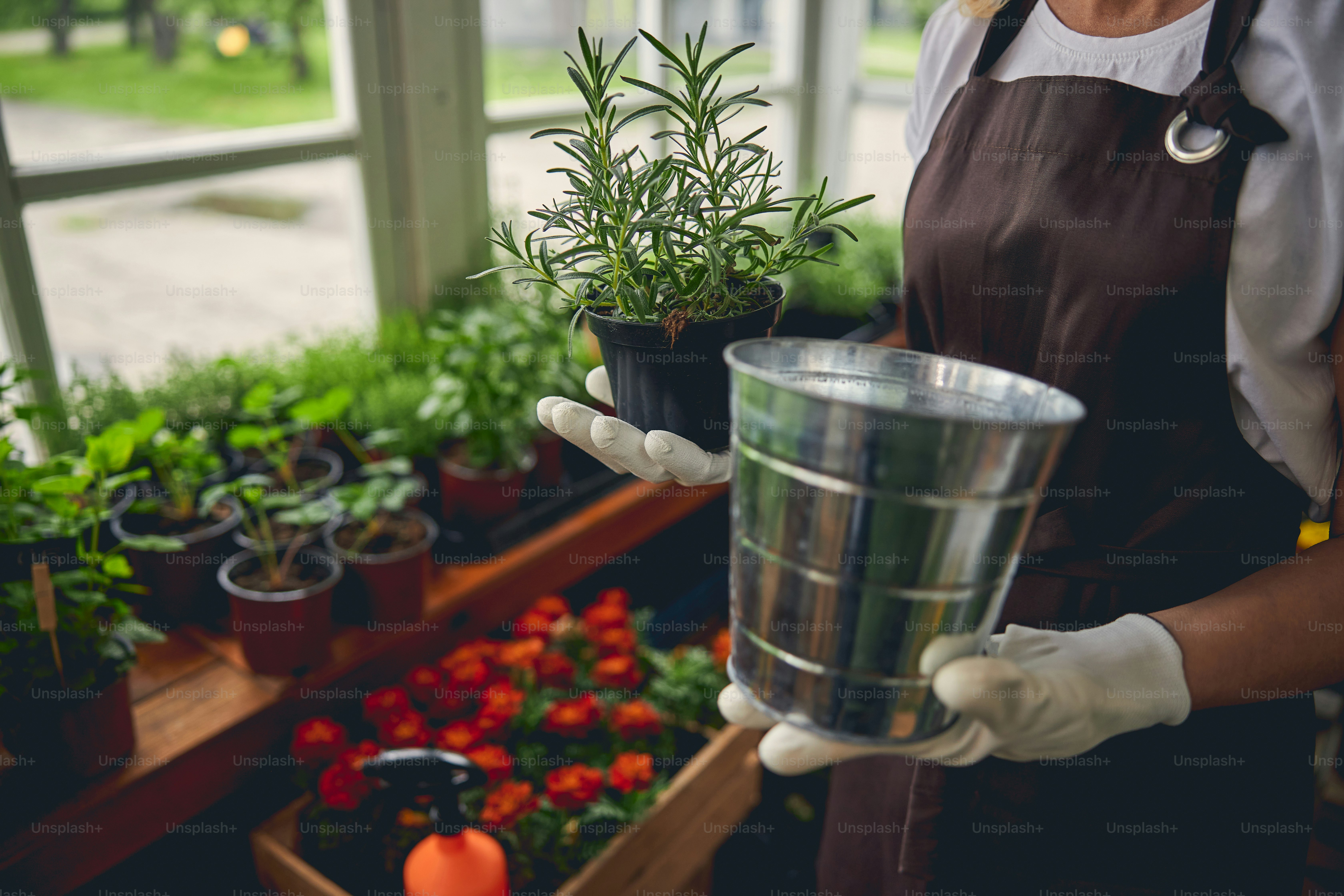 Cropped photo of a professional female horticulturist holding a galvanized plant pot in one hand