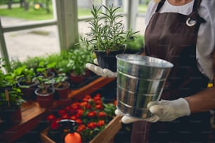 Photo recadrée d’une horticultrice professionnelle tenant un pot de fleurs galvanisé dans une main