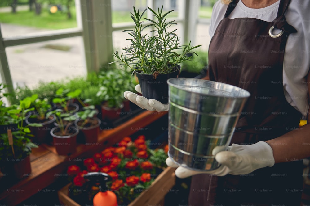 Photo recadrée d’une horticultrice professionnelle tenant un pot de fleurs galvanisé dans une main