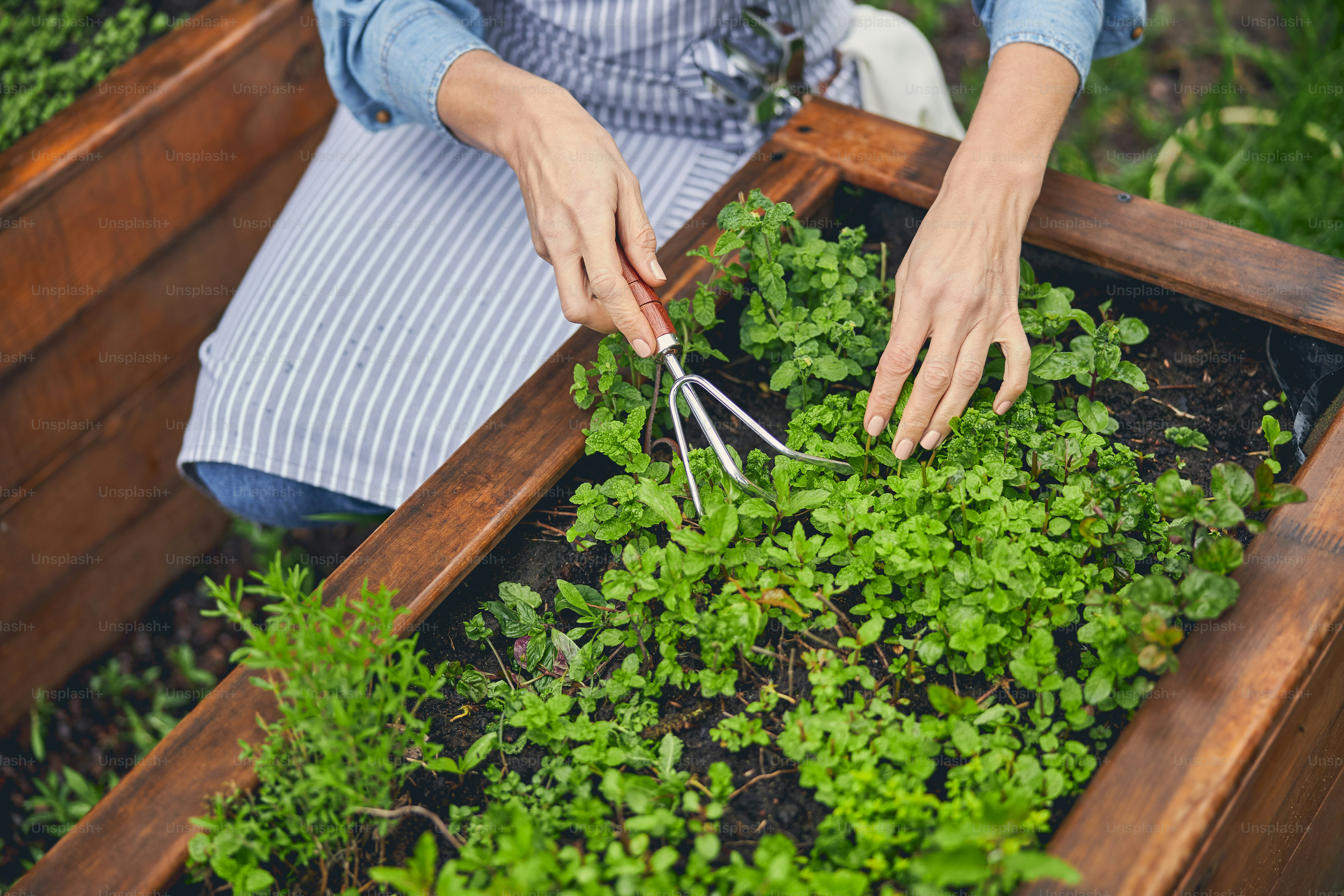 Foto recortada de una horticultora caucásica profesional aflojando la tierra con un mini-rastrillo afuera