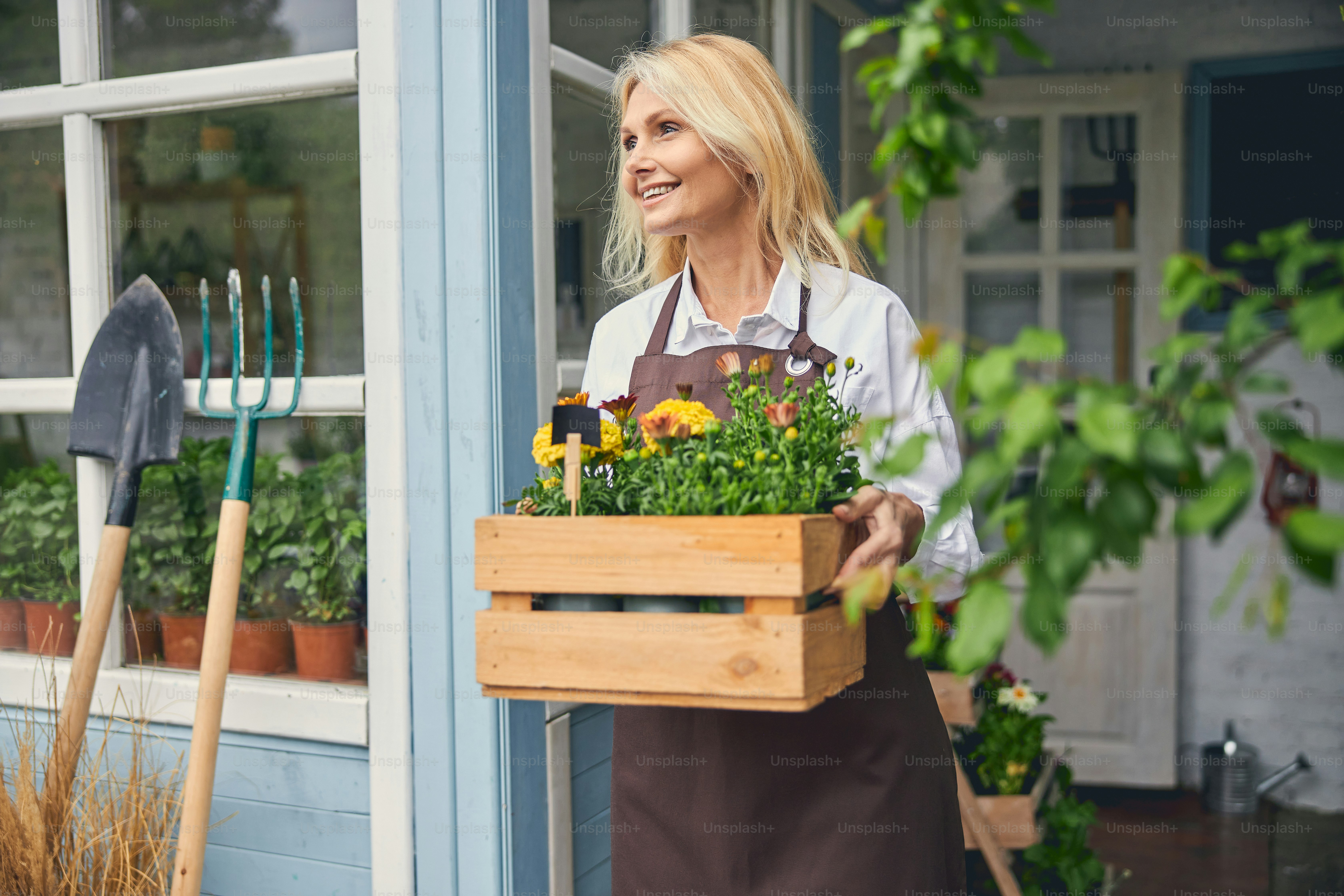 Smiling contented mature blonde woman with a wooden box of flowers staring into the distance