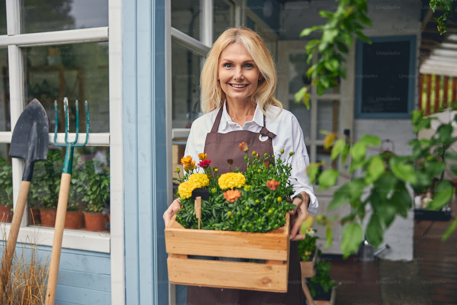 The Ultimate Guide to Container Gardening
