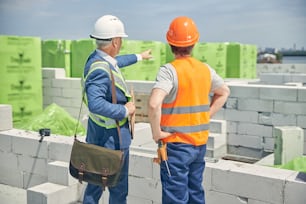 Back view of a male supervisor in a protective helmet pointing at something to his colleague
