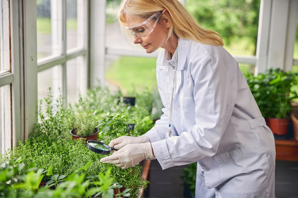 Side view of a focused mature Caucasian female biologist scrutinizing plants through a magnifying glass