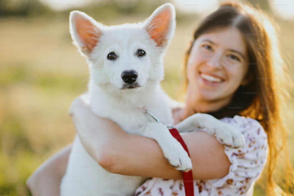 Stylish young woman hugging cute white puppy in warm sunset light in summer meadow. Happy girl holding adorable fluffy puppy. Beautiful atmospheric moment. Adoption concept.