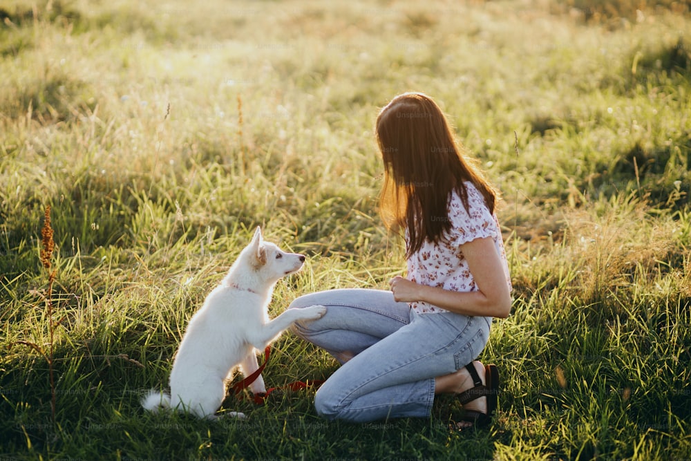暖かい夕焼けの光の中で夏の牧草地で振る舞うためにかわいい白い子犬を訓練する女性。愛らしいふわふわの子犬が女の子の飼い主に足を与えます。忠実な友人