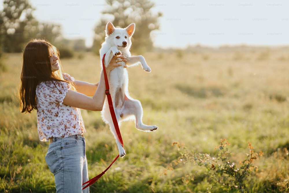 Happy young woman holding cute white puppy in warm sunset light in summer meadow. Girl holding playful adorable fluffy puppy, funny moment. Adoption concept.