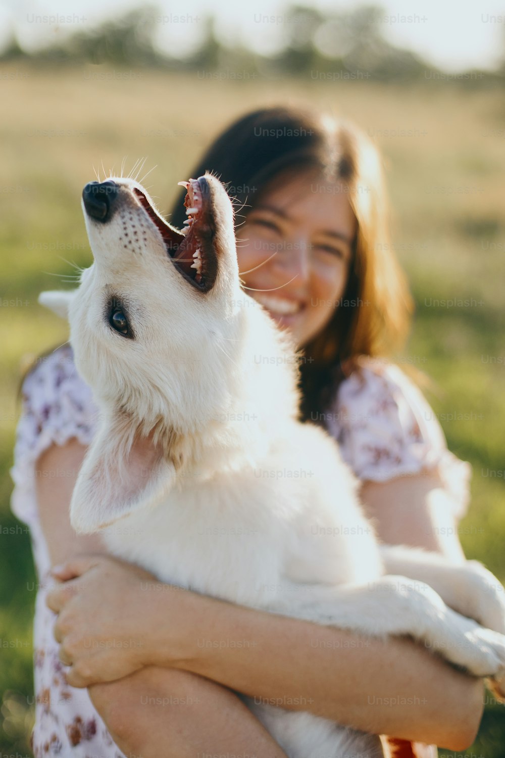Mujer joven con estilo abrazando a un lindo cachorro blanco en la cálida luz del atardecer en el prado de verano. Chica feliz sosteniendo un cachorro juguetón y esponjoso. Hermoso momento divertido. Concepto de adopción
