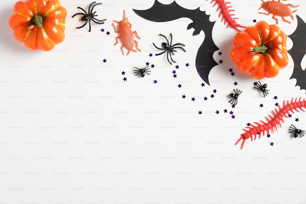Halloween decorations on white background, top view. Flat lay orange pumpkins, bats, spiders, bags, confetti. Halloween party banner mockup.