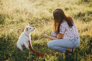 Woman training cute white puppy to behave in summer meadow in warm sunset light. Adorable fluffy puppy looking at girl owner. Adoption concept