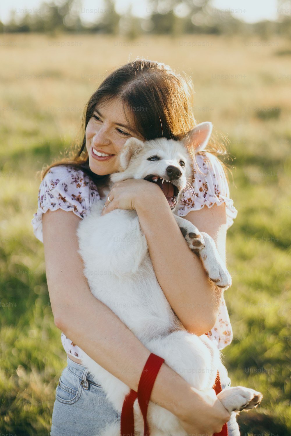 Stylish young woman hugging cute white puppy in warm sunset light in summer meadow. Happy girl holding playful fluffy puppy. Beautiful funny moment. Adoption concept