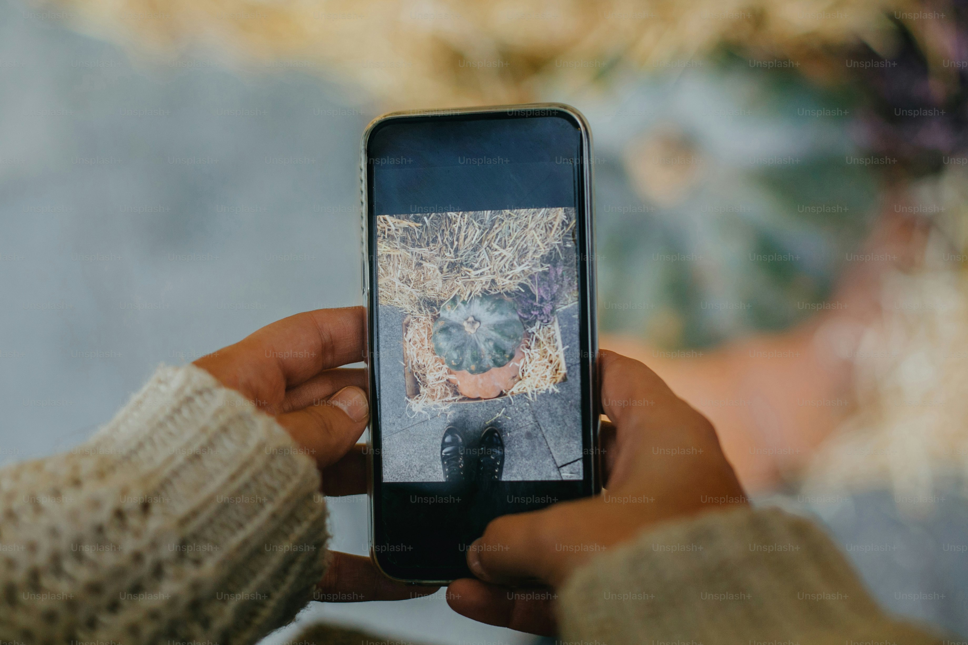 Girl photographing on phone rustic halloween street decor, hands close up. Young woman taking photo of pumpkins and autumn flowers. Happy Thanksgiving and Halloween
