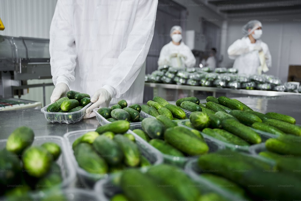 Cropped photo of an employee standing at a table with cucumbers placed in plastic trays
