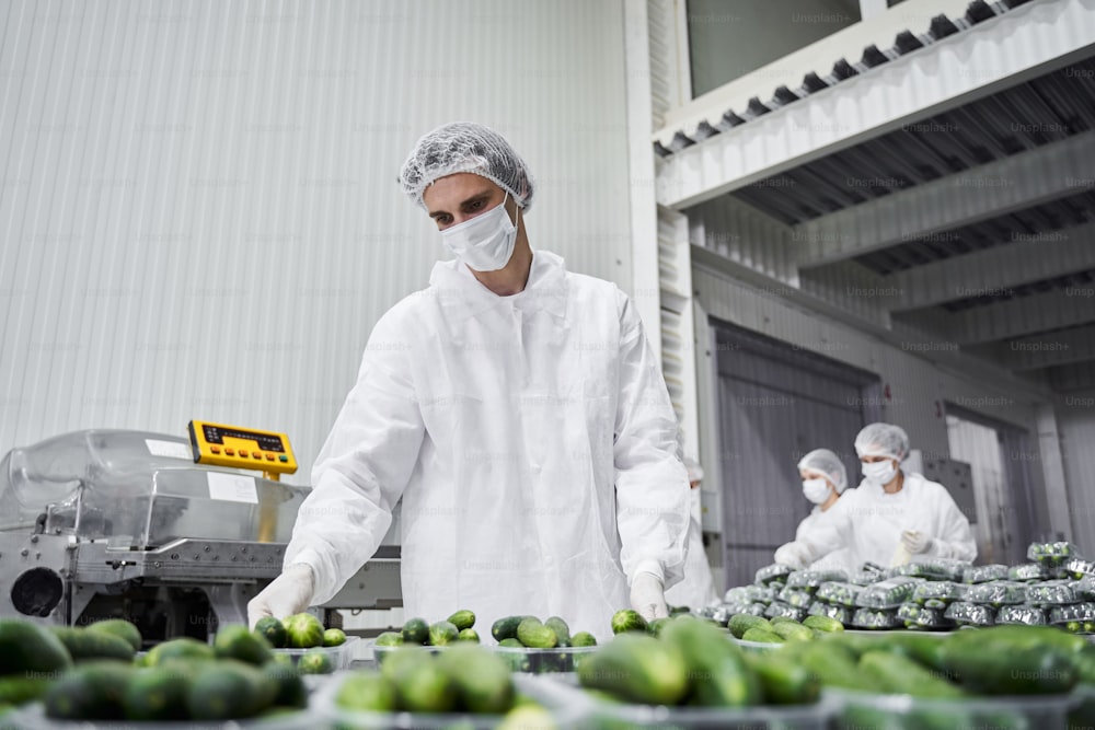 Serious young dark-haired male worker inspecting fresh cucumbers in the plastic trays on the table