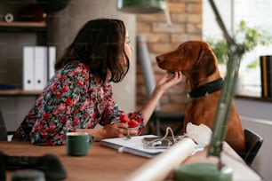 Businesswoman in office having healthy snack. Young woman eating fruit while enjoying with dog
