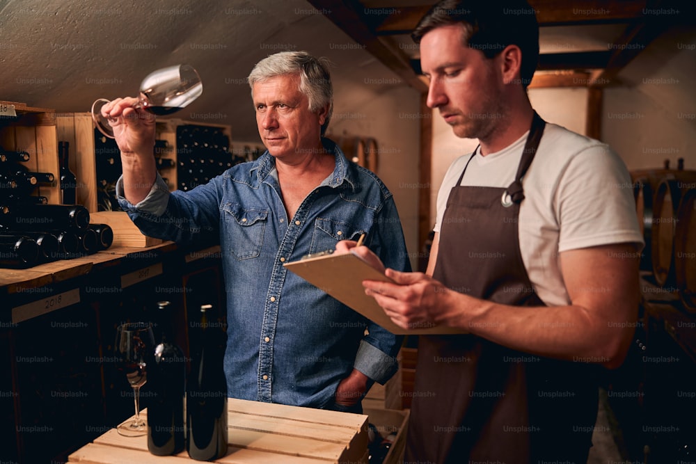 Homem caucasiano calmo de pé em uma adega com seu colega mais jovem e olhando para o vinho enquanto inclina um copo
