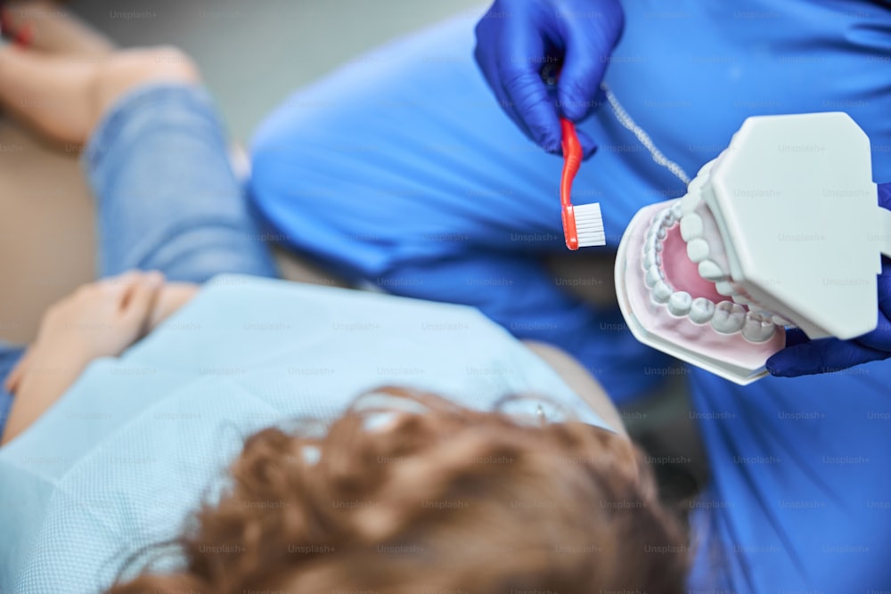 Foto ravvicinata di un modello di argilla dentale nelle mani di un dentista specialsit demonstarting modo corretto di lavarsi i denti
