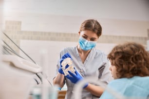 Curious kid looking attentively at teeth model while pediatric dentist holding it in clinic