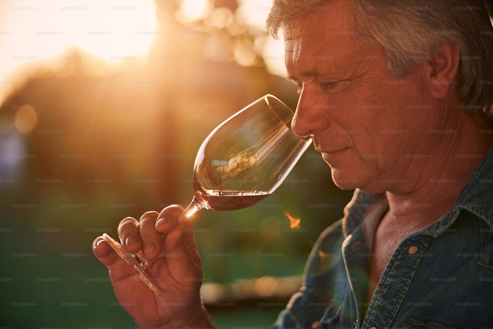 Retrato de um calmo sommelier caucasiano olhando para o vinho tinto em um copo e sorrindo enquanto o cheirava
