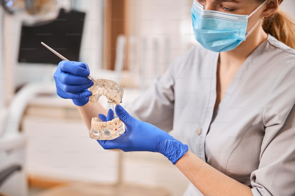Professionelle Zahnärztin, die Zahntypen am Kiefermodell zeigt, während sie in der Zahnklinik arbeitet
