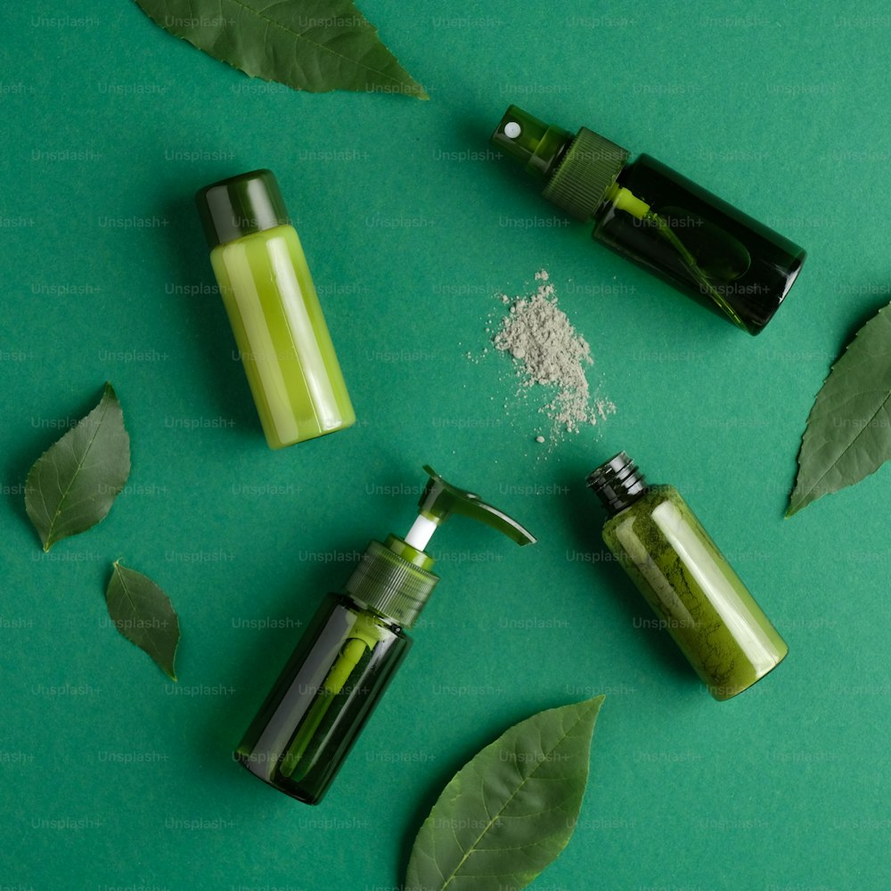 Set di cosmetici naturali per la cura della pelle e foglie verdi. Prodotti di bellezza bio biologici, flat lay, vista dall'alto. Concetto cosmetico della natura.