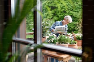 여름에 발코니에서 정원을 가꾸는 노인 여성의 초상화, 유리를 통해 촬영.