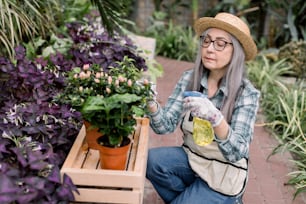 안경과 밀짚 모자를 쓴 유쾌한 예쁜 고위 여성 정원사, 다른 이국적인 식물이 있는 아름다운 온실에서 일하는 동안 물 분무기로 화분에 식물을 뿌립니다.