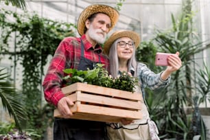 Portrait of joyful smiling senior male and female gardeners, wearing straw hats, making selfie photo on smartphone, posing with decorative flowerpots in beautiful orangery.
