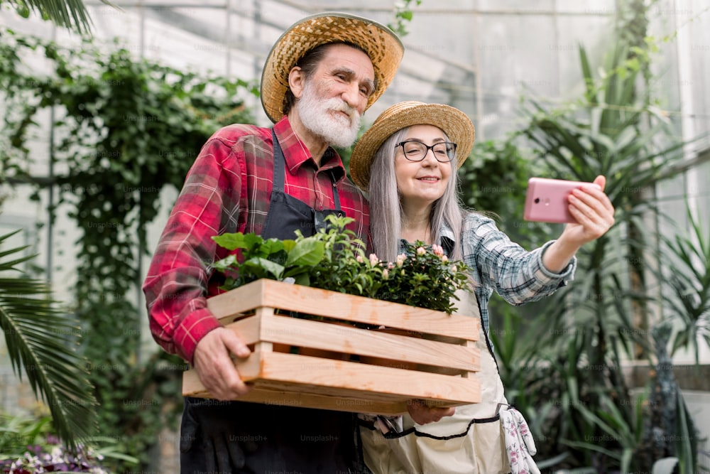 Portrait de jardiniers âgés souriants et joyeux, portant des chapeaux de paille, faisant une photo selfie sur smartphone, posant avec des pots de fleurs décoratifs dans une belle orangerie.