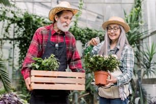 Gardening and watering concept. Smiling senior bearded man holding wooden box with flowerpots, standing in greenhouse with his pretty grey-haired wife, watering plant using sprayer.