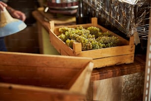 Cropped photo of a wooden crate ful of ripe white grapes sitting at the table of a winery