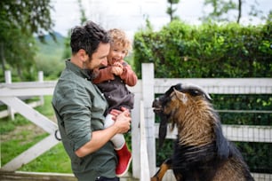Portrait d’un père avec une petite fille heureuse debout sur la ferme, regardant la chèvre.