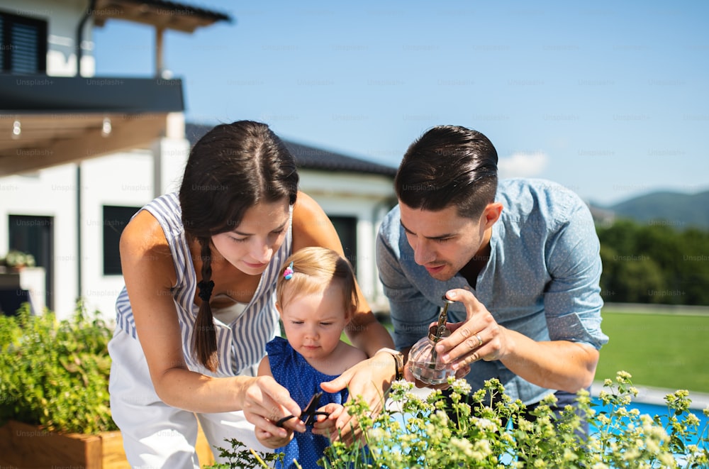 Portrait d’une jeune famille avec une petite fille à l’extérieur dans le jardin d’arrière-cour, pulvérisant des plantes.