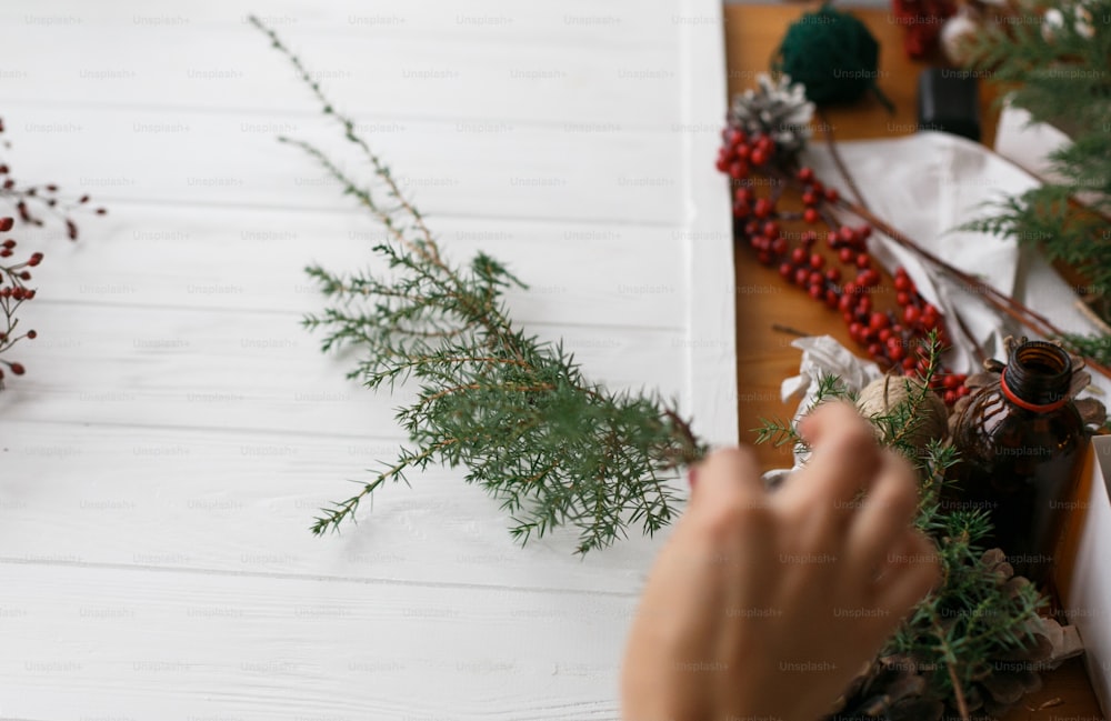 Faire une couronne de Noël sur une table en bois blanc à la maison, l’Avent des fêtes. Main féminine tenant une branche de cèdre vert et des baies rouges sur une table en bois blanc avec du fil et des ciseaux