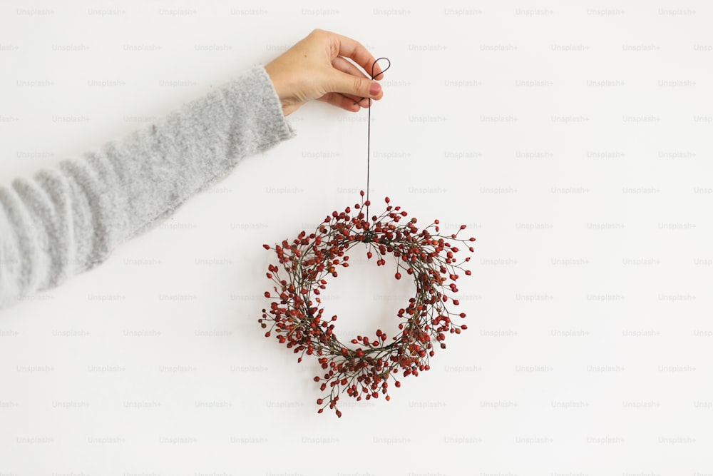 Christmas wreath in florist hand on white background, holiday advent. Female hand holding simple christmas wreath with red berries, rustic creative decor