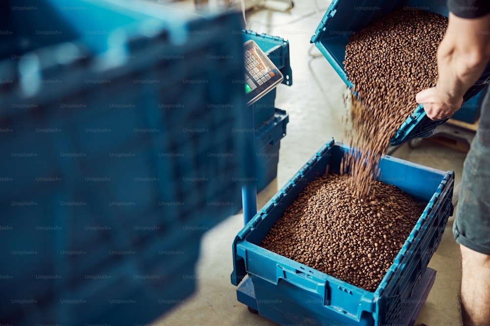 Close up of male worker filling blue storage box with roasted beans while standing near scales in warehouse