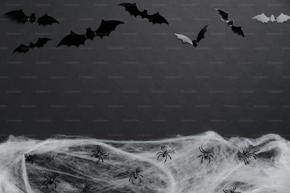 할로윈 플랫 레이 구성은 검은 배경에 박쥐 실루엣과 거미줄로 만들어졌습니다. 해피 할로윈 휴가 개념