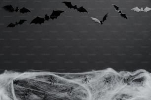 Halloween flat lay composition made of bats silhouettes and spider web on black background. Happy Halloween holiday concept