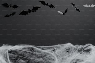할로윈 플랫 레이 구성은 검은 배경에 박쥐 실루엣과 거미줄로 만들어졌습니다. 해피 할로윈 휴가 개념