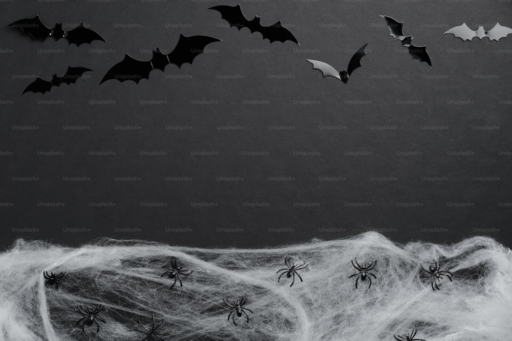 Halloween flat lay composition made of bats silhouettes and spider web on black background. Happy Halloween holiday concept