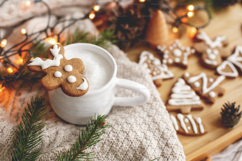 Christmas  gingerbread reindeer cookie on aromatic coffee on background of cozy knitted sweater, pine cones, fir branches and warm lights. Hello cozy winter. Merry Christmas!