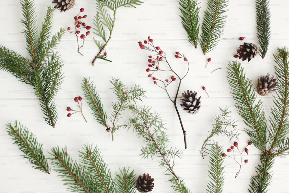 Christmas fir branches, red berries and pine cones on white wood, minimalist flat lay. Season's greeting card layout with natural spruce twigs. Merry Christmas and Happy Holidays!