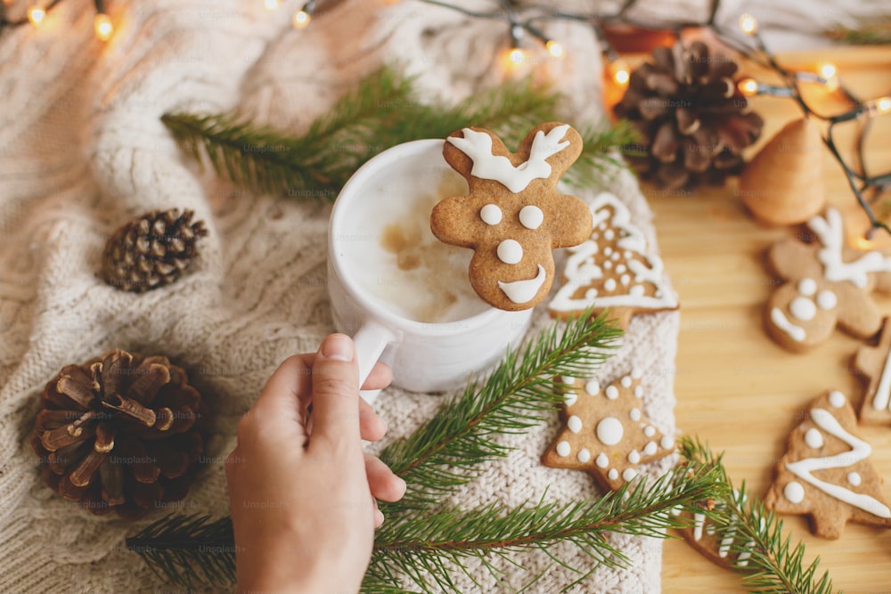 Hand holding warm coffee with christmas reindeer gingerbread cookie on background of cozy knitted sweater. Hello winter. Merry Christmas and Happy Holidays!