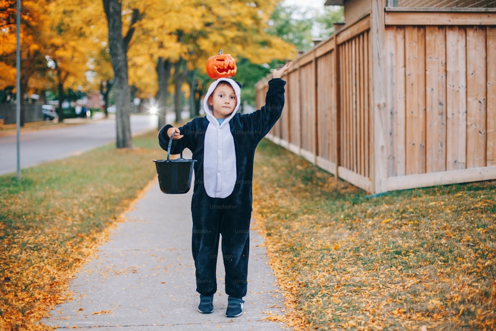 Süßes oder Saures. Glücklicher Junge mit rotem Kürbis auf dem Kopf. Kind, das am Halloween-Feiertag Süßes oder Saures macht. Süßer Junge im Party-Panda-Kostüm mit Korb geht zu Nachbarhäusern für Süßigkeiten und Leckereien