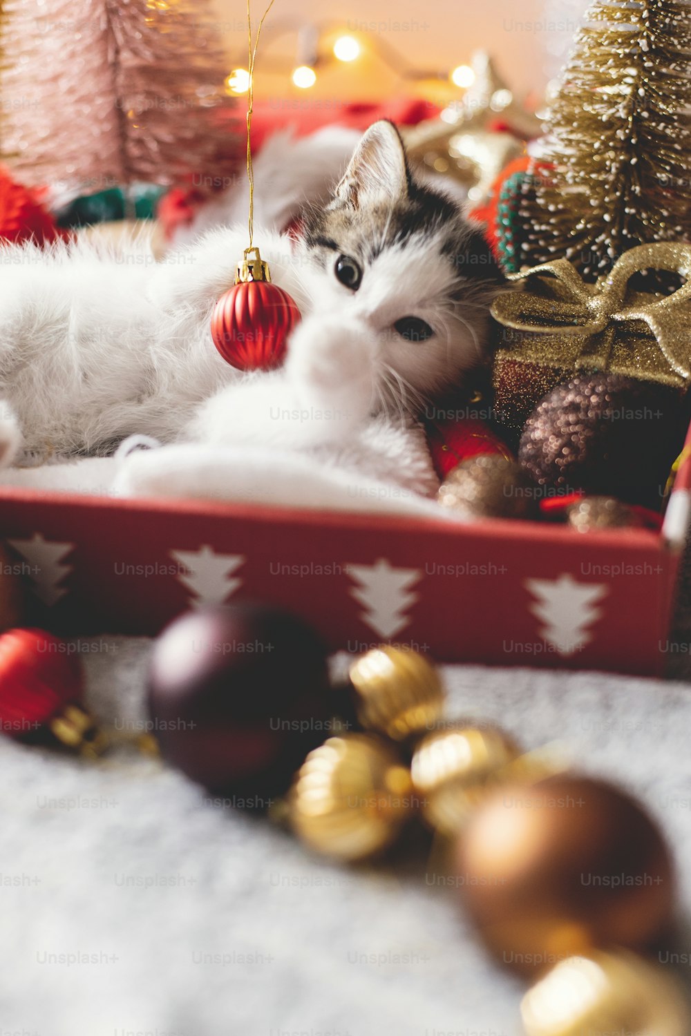 Süßes Kätzchen, das mit weihnachtlichen roten Kugeln spielt, in einer Kiste mit Weihnachtsmannmütze auf dem Hintergrund des Weihnachtsbaums liegt und Ornamente in warmen Lichtern leuchtet. Frohe Weihnachten und frohe Feiertage!