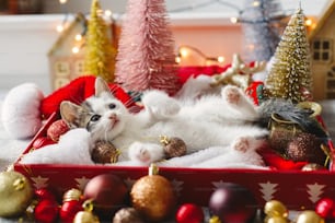 Adorable kitten playing with christmas bauble, lying in box with santa hat on background of christmas tree and ornaments in warm illumination lights. Cozy winter holidays, Merry Christmas!