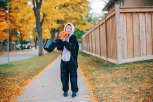 Süßes oder Saures. Glücklicher Junge mit rotem Kürbis, der am Halloween-Feiertag Süßes oder Saures macht. Süßer Junge im Party-Panda-Kostüm mit Korb geht zu Nachbarhäusern für Süßigkeiten und Leckereien.