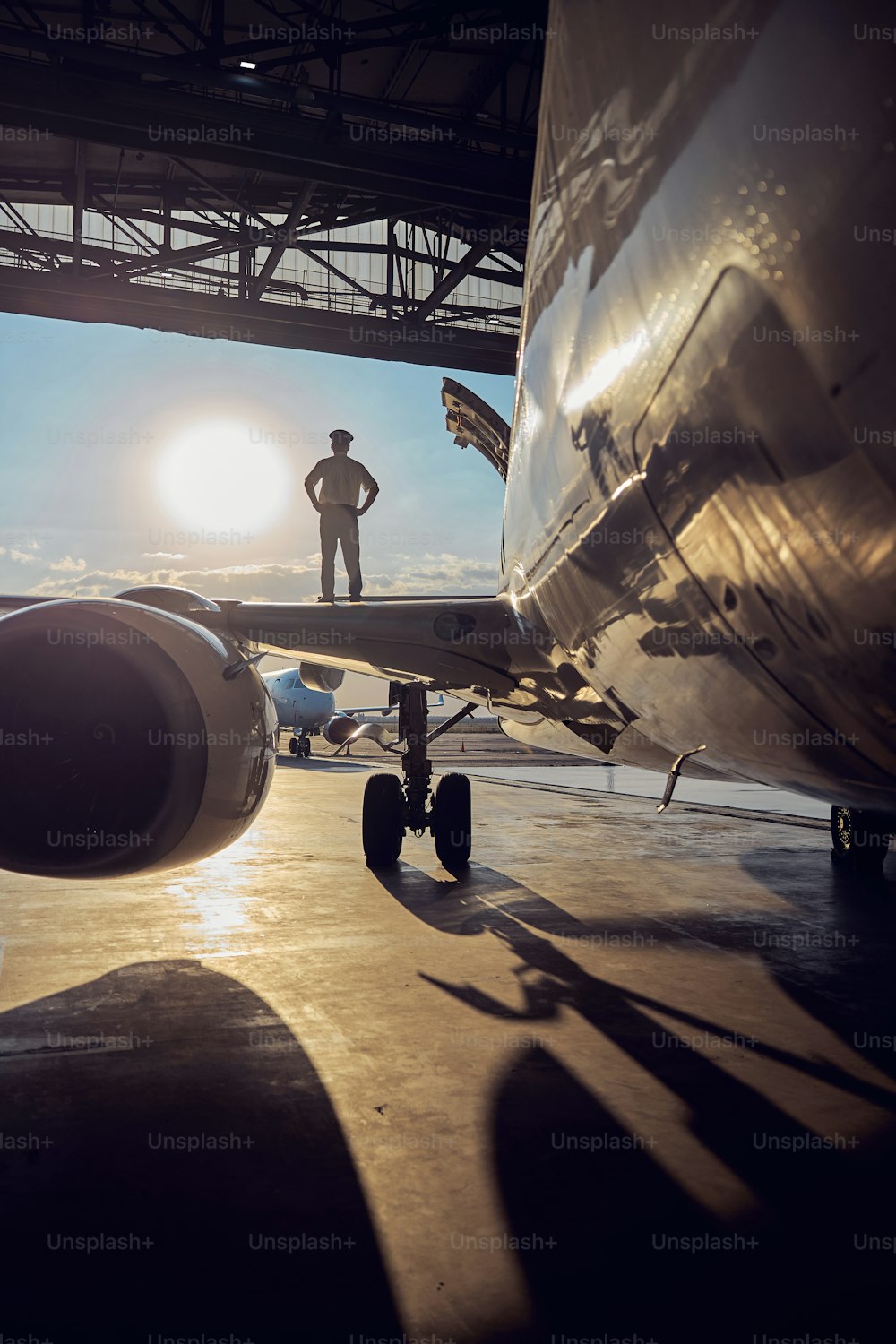 Porträt von Motor und Fahrwerk eines Passagierflugzeugs in voller Länge mit Piloten im isolierten Flügel auf dem Sonnenhintergrund