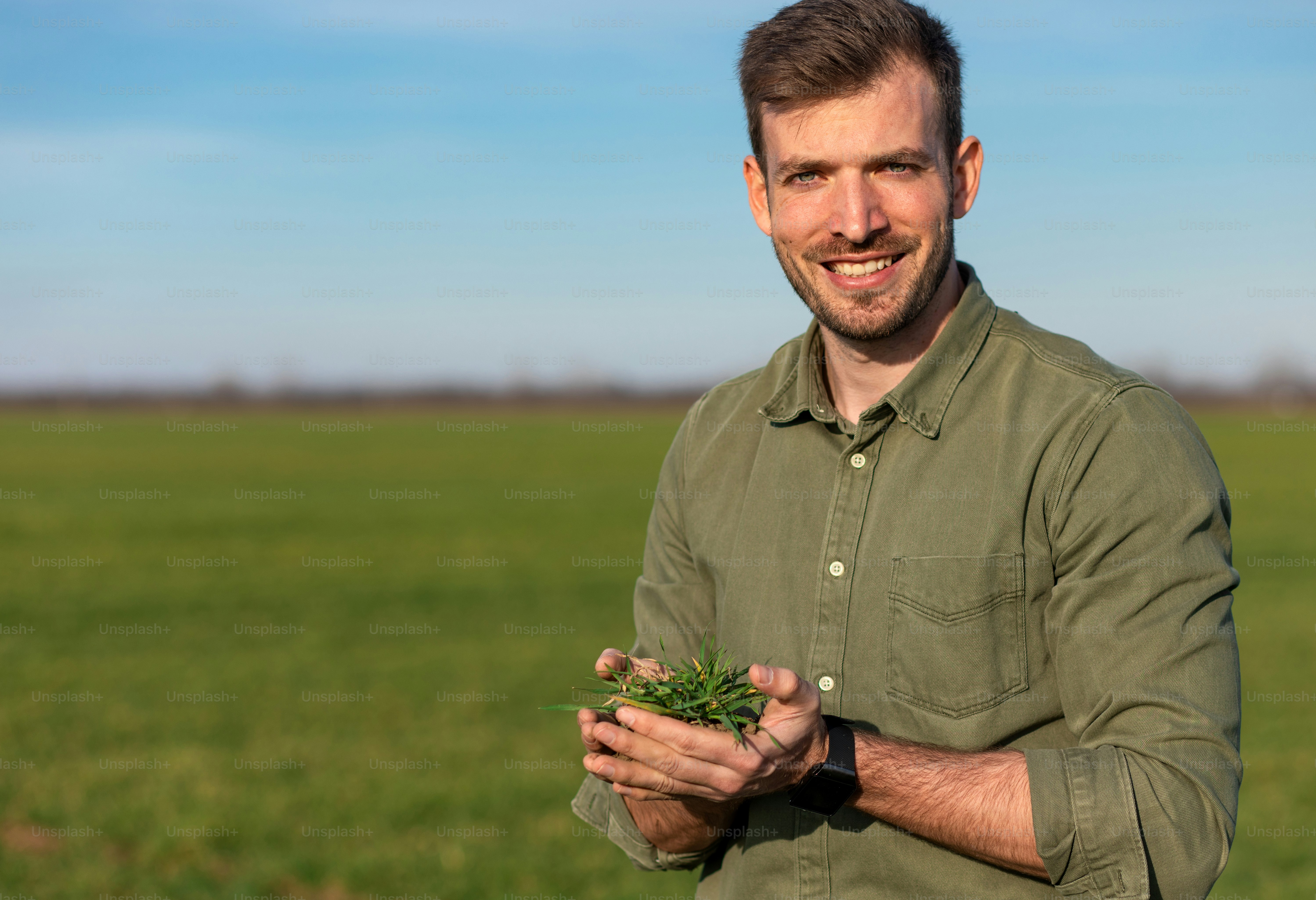 Young farmer standing in wheat field and examining crop in his hands.