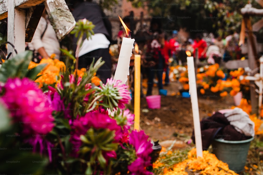 Dia de los Muertos México, flores de cempasuchil para o dia dos mortos, cemitério do México